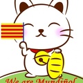 Catalan_Cat.jpg